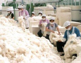 三项棉花加工国家标准将于6月1日起实施